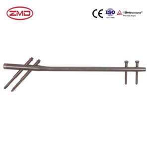 Femoral Gamma Lockable Intramedullary Nail