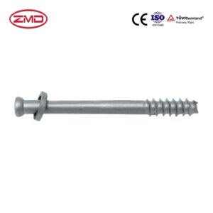 Cannulated Single-headed Compression Screws