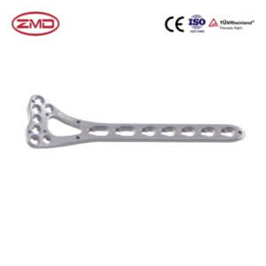 Multi-direction Radius Distal Locking Plate II