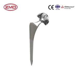 PRIMARY_ Cementless  Bipolar (Low-end)