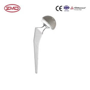 PRIMARY_ Cementless Total Hip (Mid-end)