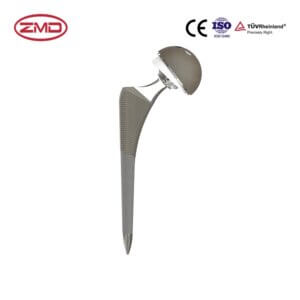 PRIMARY_ Cementless Total Hip (Low-end)