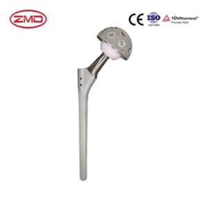 REVISION_ Cementless Total Hip