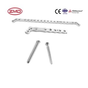 Reconstruction Locking Compression Double-Headed L-Plate