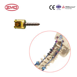 Posterior Cervical Screw System Polyaxial Pedical Screw