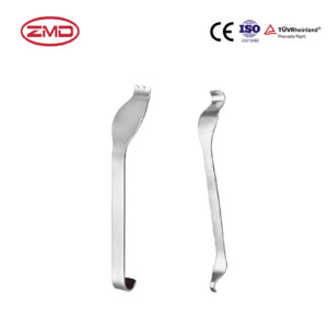 Bone pry(small fragment)