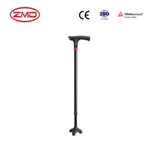 Smart Cane