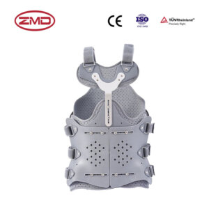 Thoracolumbar Fixator