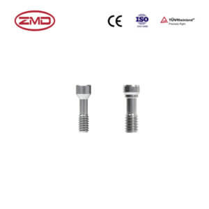 Abutment Screw